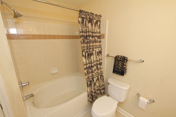 Master Bath II